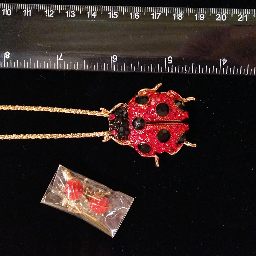 Ladybug Pendant with Ladybug Earrings